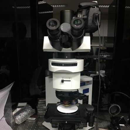 Polarized optical microscope